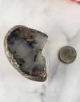 Unique Jumbo Dendritic Agate Crystal Natural Freeform Gemstone |  Veil - 5