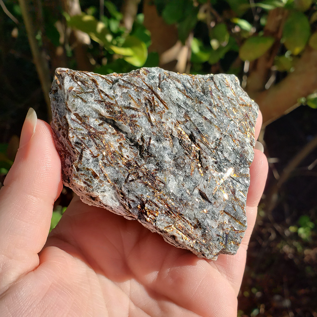 Astrophyllite Raw Natural Rough Gemstone - Unique - Sunlight 2