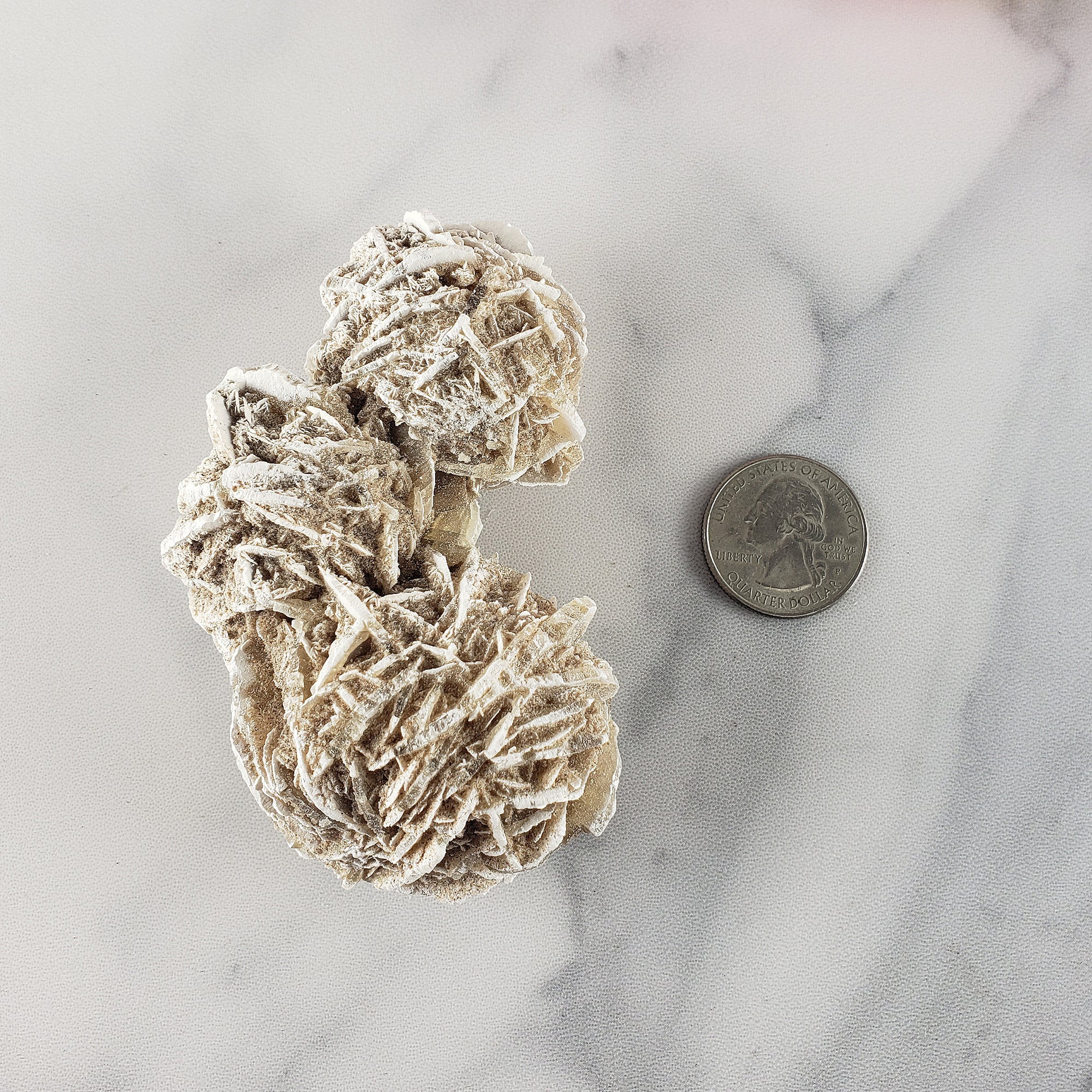 Unique Desert Rose Selenite Crystal Cluster Heat Treated Rough Mineral Formation | Wreath - 5