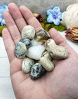 white opal stones in hand