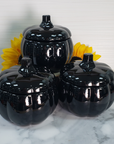 Spooky Black Pumpkin Glass Bowl | Container with Lid | Halloween Home Decor - Group Photo