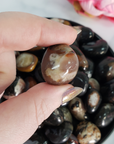 Black Sardonyx Stone Natural Crystal Tumbled Stone -  8