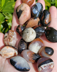 Black Sardonyx Stone Natural Crystal Tumbled Stone - 1