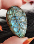 Unique 39 Carat Labradorite Cabochon Natural Gemstone Carving | Bromeliad - 2