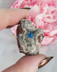 Cavansite Crystal Cluster on Basalt Matrix Natural Mineral Formation | SMALL - 1