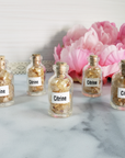 Citrine Crystal Natural Gemstone Chips in Glass Bottle