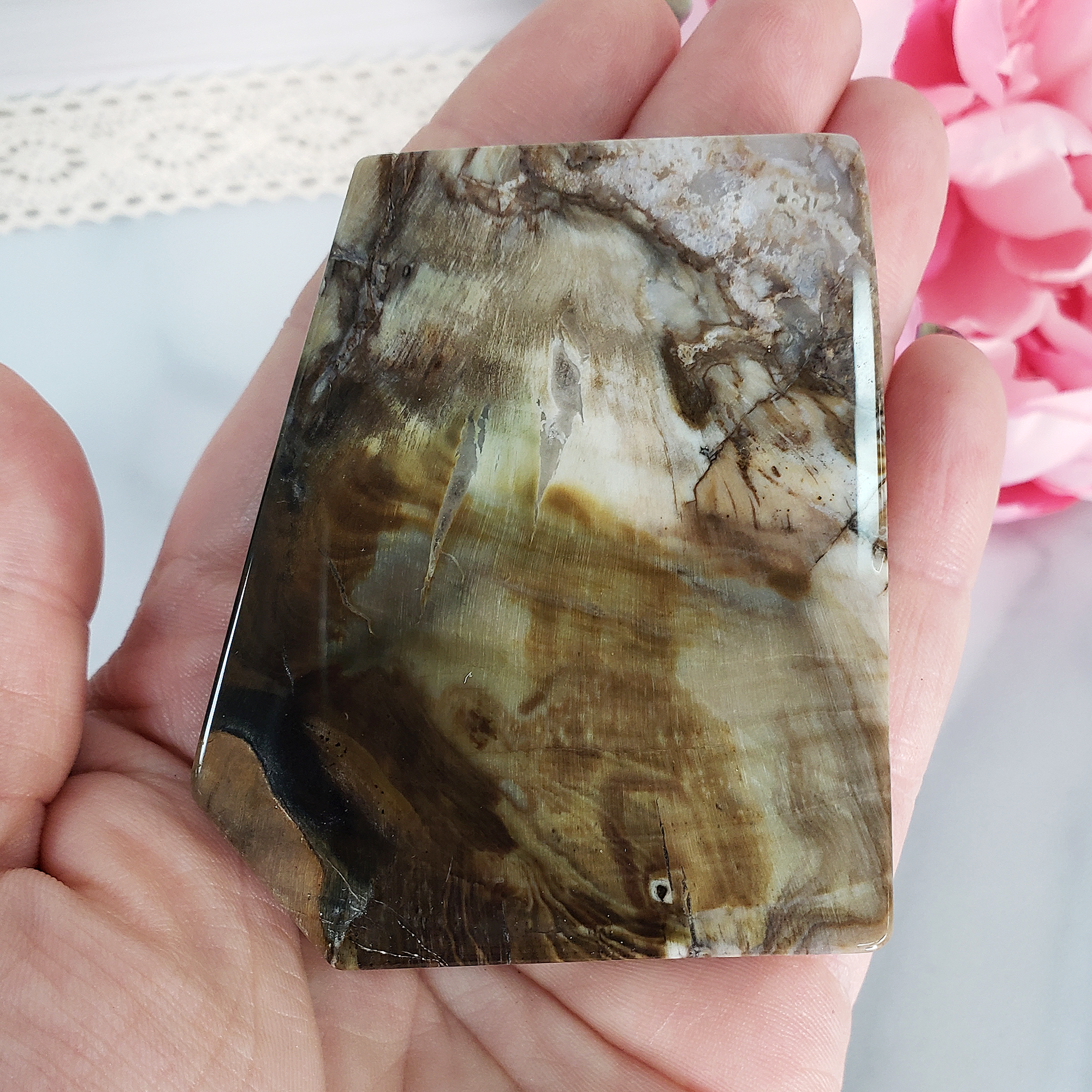 Unique Petrified Wood Stone Slab Fossil Slice Natural Gemstone - Curiosity - 3