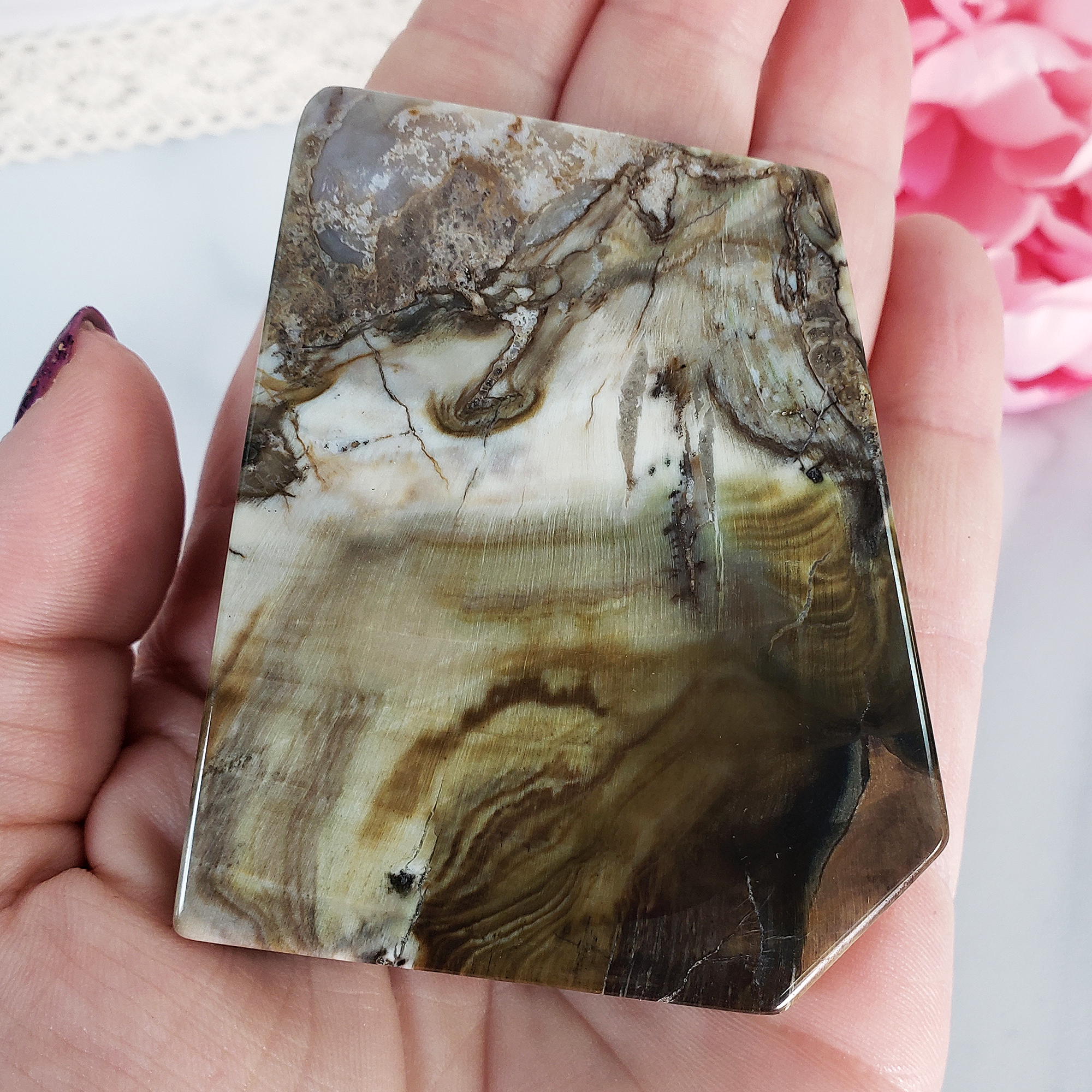 Unique Petrified Wood Stone Slab Fossil Slice Natural Gemstone - Curiosity - 2