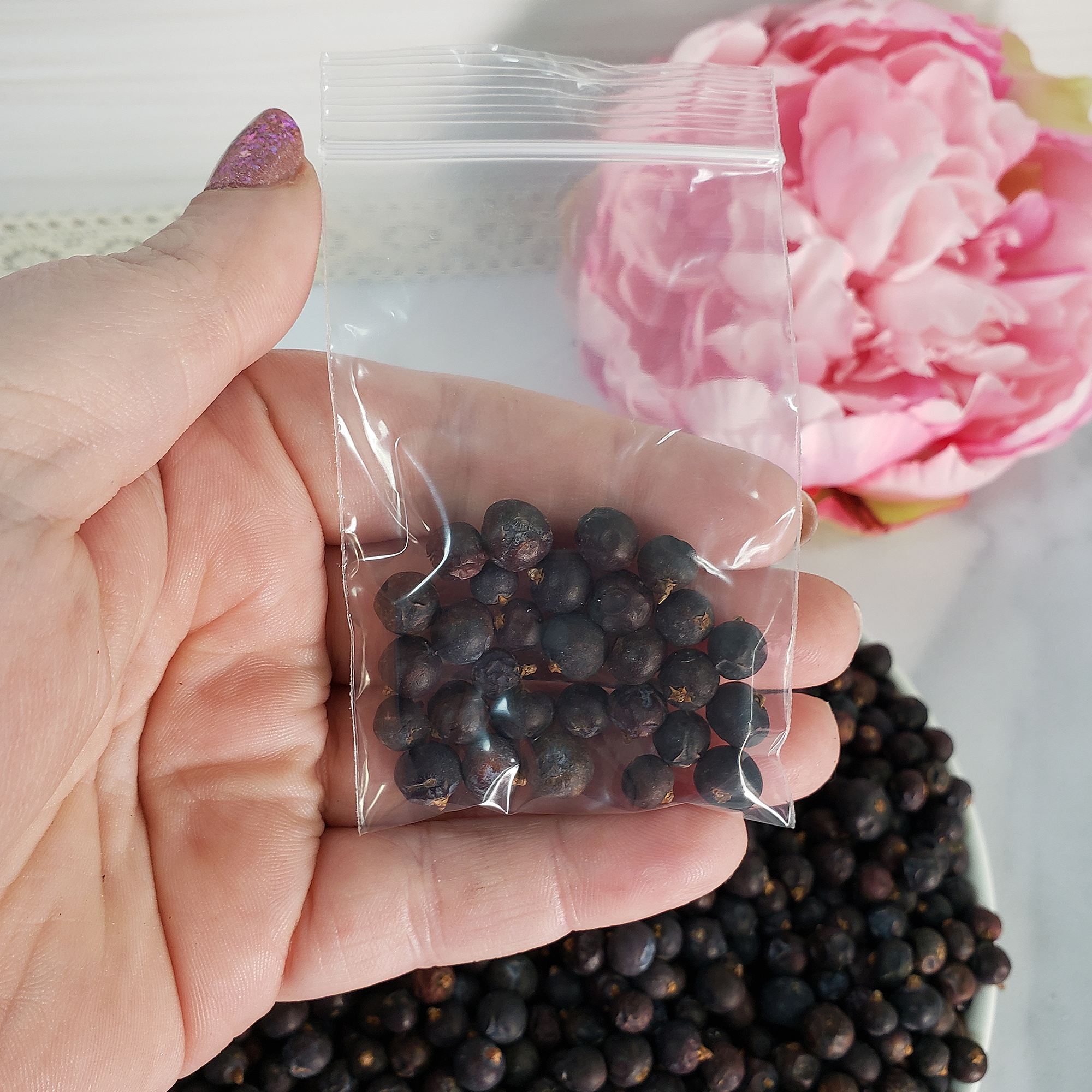 Dried Juniper Berries Natural Dried Herb | 3 Grams - 2