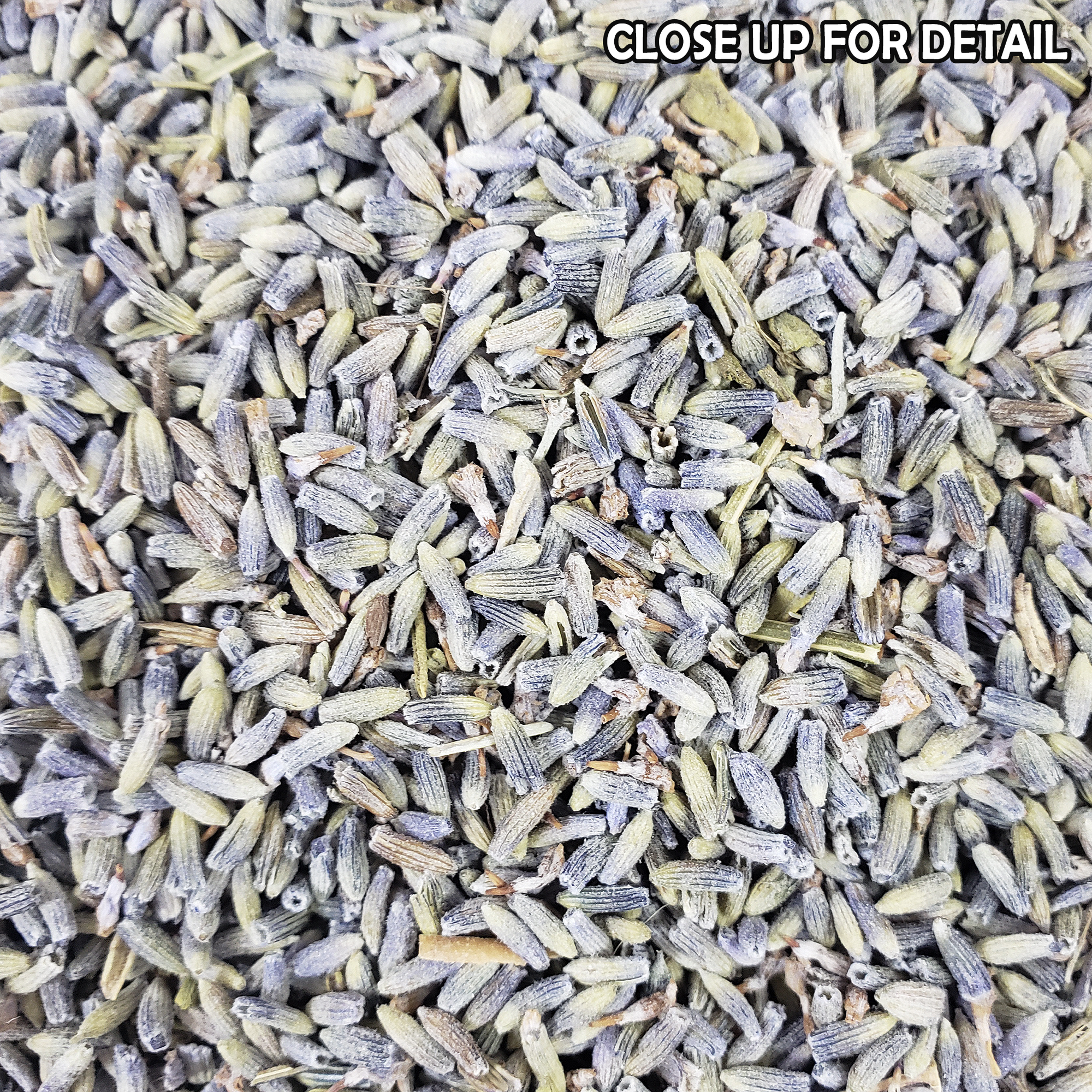 Organic Dried Lavender Flowers Natural Dried Herb | 3 Grams - 1