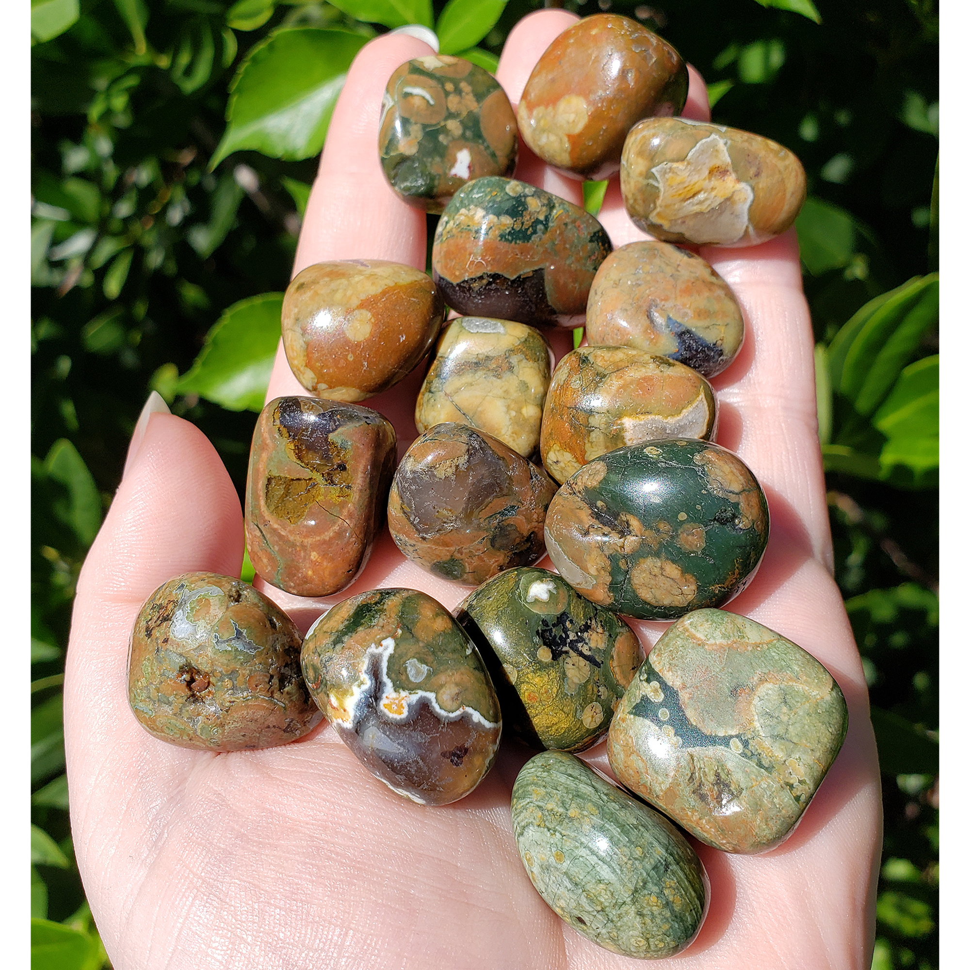 Earthy Rhyolite Rock Natural Gemstone Tumbled Stone | One Stone - 5