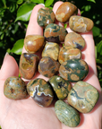 Earthy Rhyolite Rock Natural Gemstone Tumbled Stone | One Stone - 5
