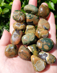 Earthy Rhyolite Rock Natural Gemstone Tumbled Stone | One Stone - 1