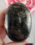 Unique Palm Root Fossilized Petrified Wood Natural Organic Gemstone Crystal Palm Stone | Ferocia - 4