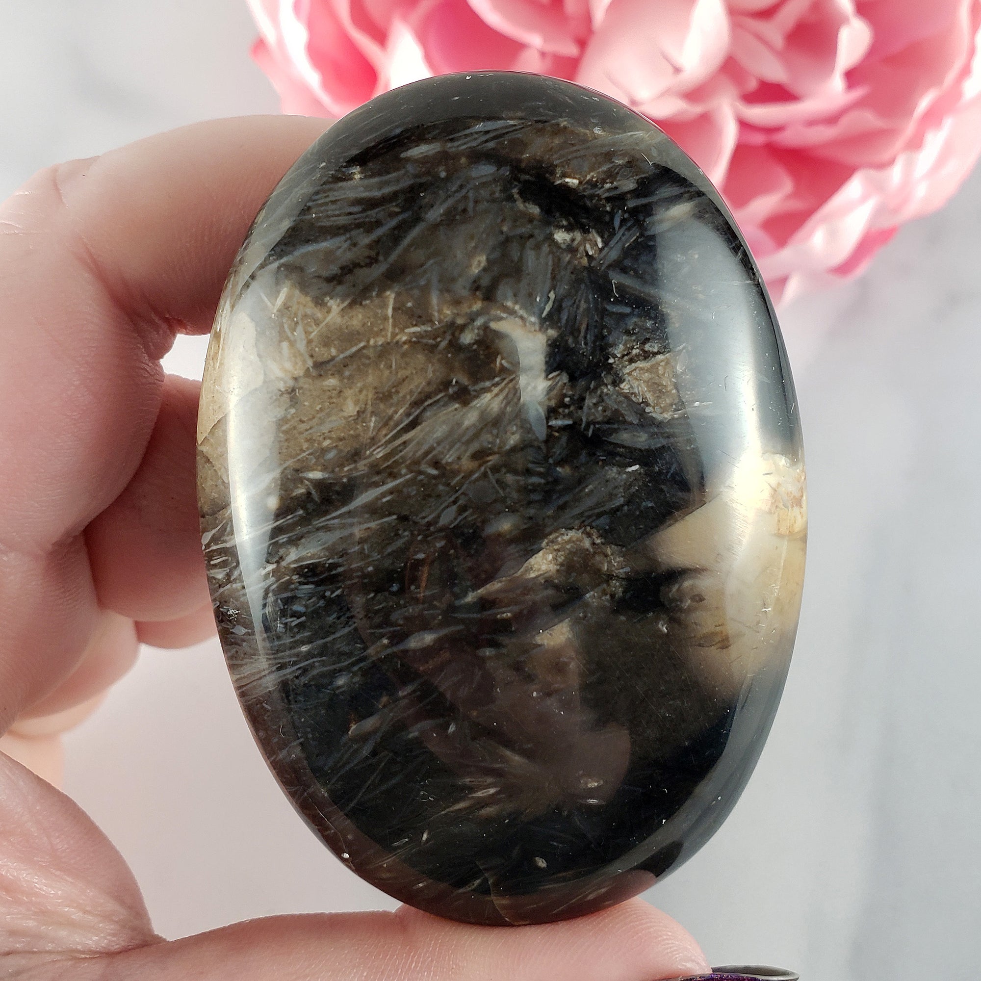 Unique Palm Root Fossilized Petrified Wood Natural Organic Gemstone Crystal Palm Stone | Ferocia