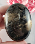Unique Palm Root Fossilized Petrified Wood Natural Organic Gemstone Crystal Palm Stone | Ferocia