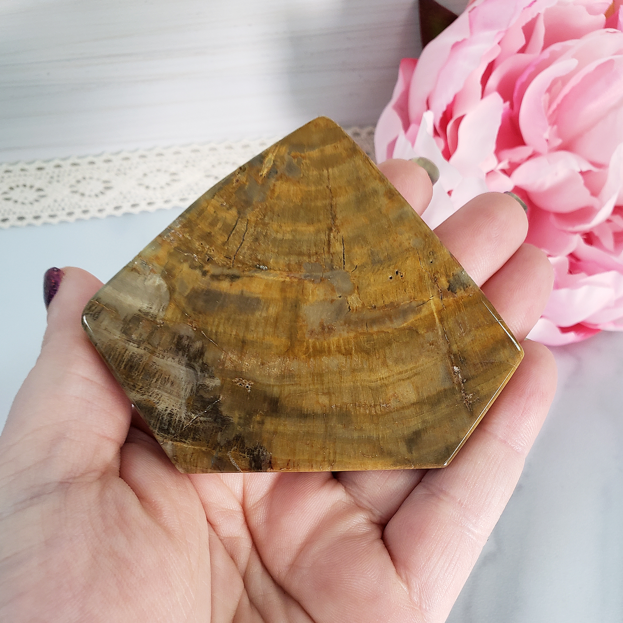 Unique Petrified Wood Stone Slab Fossil Slice Natural Gemstone - Gallantry - 1