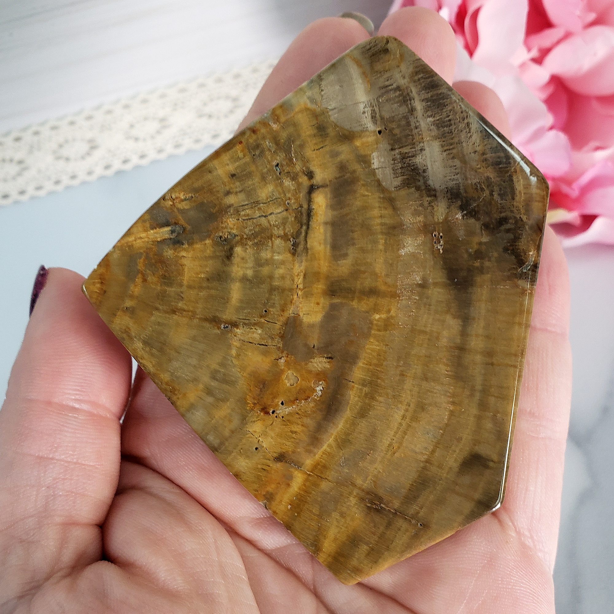 Unique Petrified Wood Stone Slab Fossil Slice Natural Gemstone - Gallantry - 2