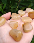 Gold Quartz Crystal Natural Gemstone Tumbled Stone | One Stone | aka Yellow Aventurine - 8