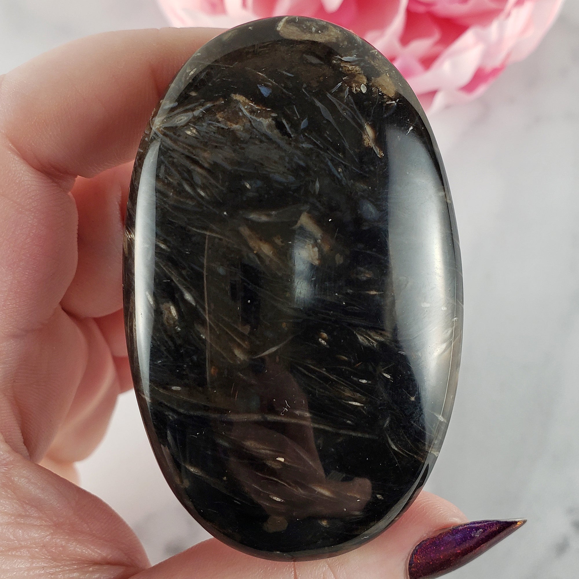 Unique Palm Root Fossilized Petrified Wood Natural Organic Gemstone Crystal Palm Stone | Gratiae