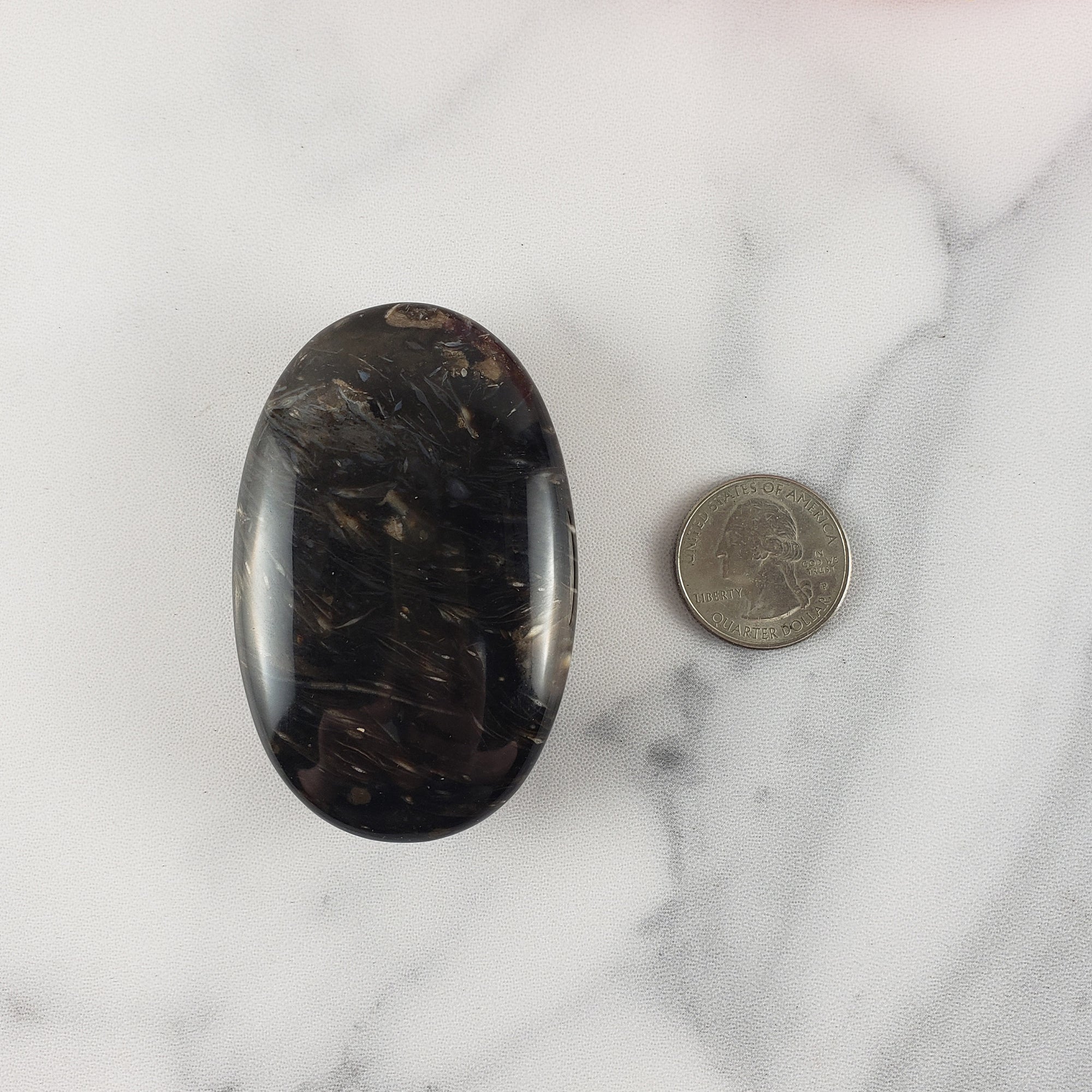 Unique Palm Root Fossilized Petrified Wood Natural Organic Gemstone Crystal Palm Stone | Gratiae - 5