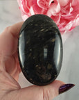 Unique Palm Root Fossilized Petrified Wood Natural Organic Gemstone Crystal Palm Stone | Gratiae - 1