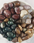 Tumbled Stones Crystal Set for Grounding & Centering | Petrified Wood, Chalcedony, Brown Aragonite, Moss Agate - Reduce Anxiety