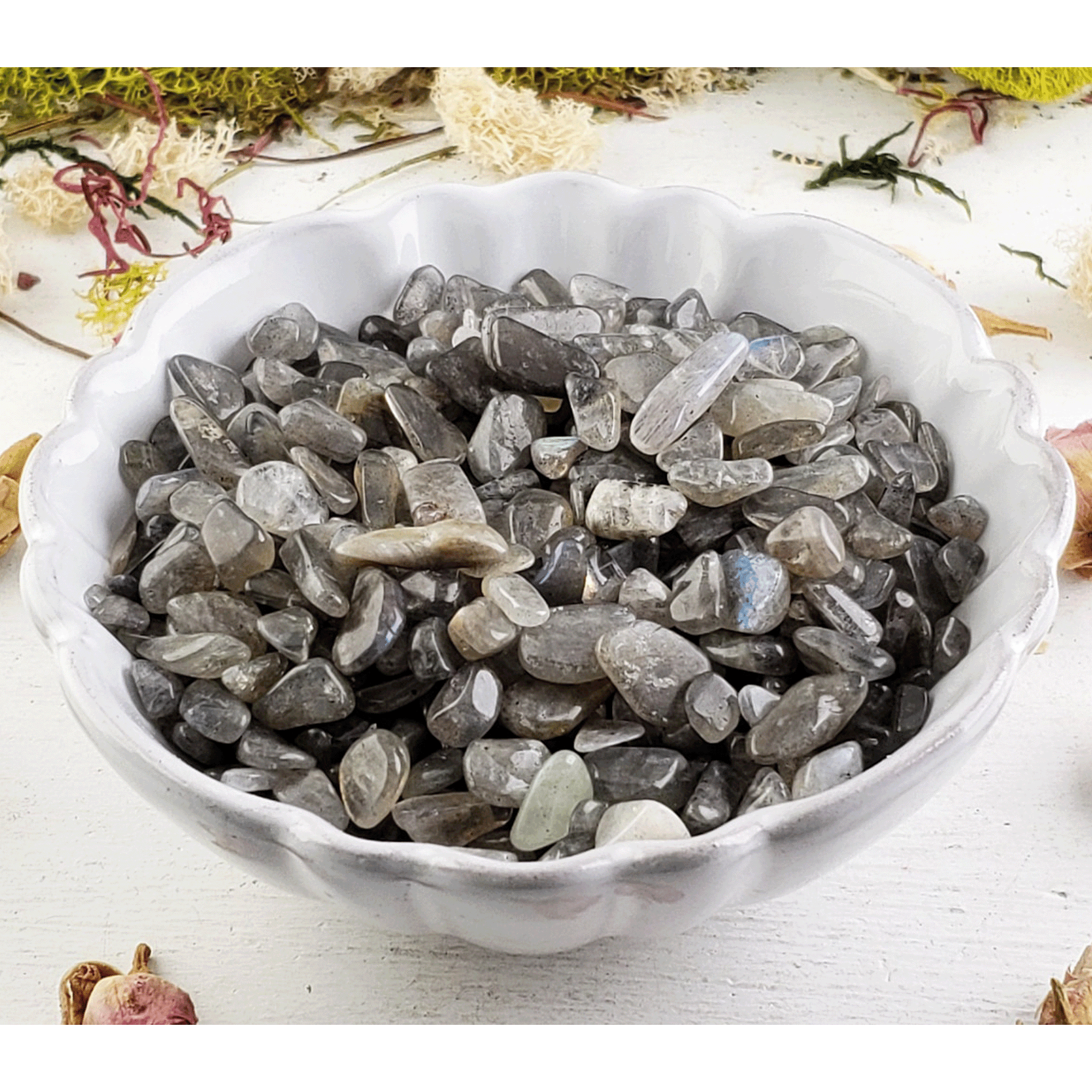 Labradorite Stone Natural Gemstone Crystal Chips By the Ounce - C