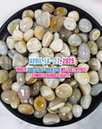 LUCKY ORDER TIME! Free Tumbled Banded Agate on Subtotals $20 & Up | ONE Order Over $30 Gets Gem Chips Sampler with Organizer! | APRIL 14 -27, 2025
