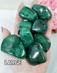 Green Malachite Crystal Natural Gemstone Tumbled Stone | One Stone | Multiple Sizes! - 5