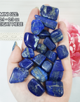 Lapis Lazuli Crystal Natural Gemstone Tumbled Stone | One Stone | Multiple Sizes! - 3