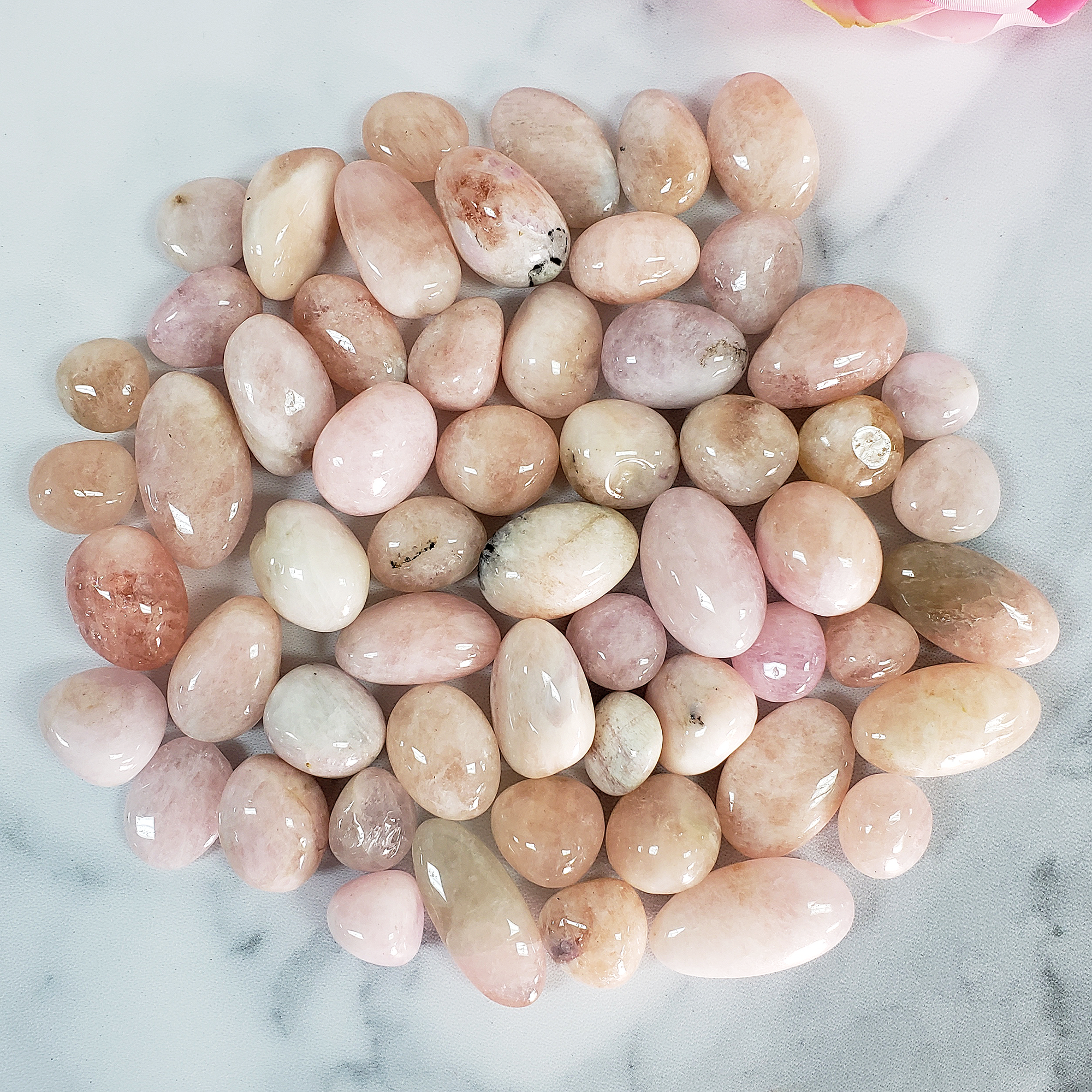 Morganite Pink Beryl Crystal Natural Gemstone Tumbled Stone | Multiple Sizes - 1