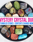 Mystery Crystal Duo Gemstone Set |  2 Tumbled Stones | Contents Change Each Month!