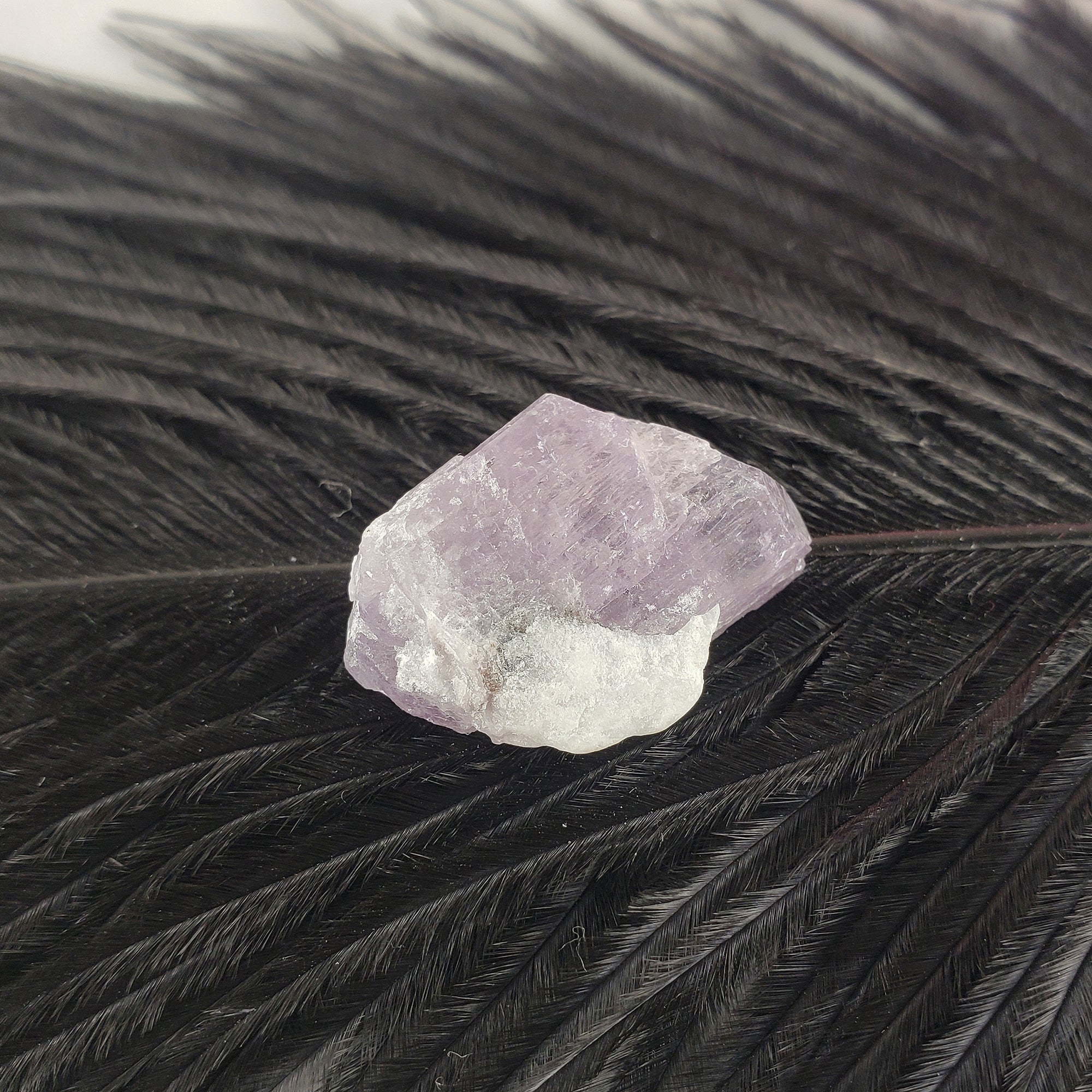 Unique Purple Scapolite Crystal Natural Mineral Formation Rough Gemstone | Patience - 1