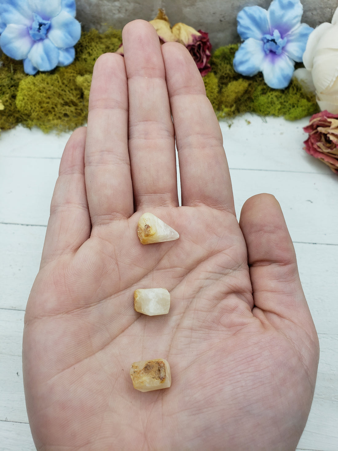 three pieces of phenacite in hand