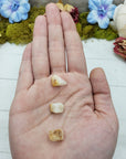 three pieces of phenacite in hand