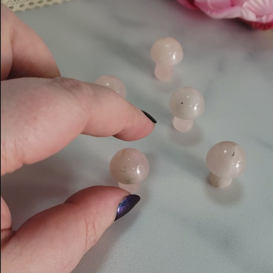 Rose Quartz Crystal Natural Gemstone Mushroom Toadstool Mini Carving - Video
