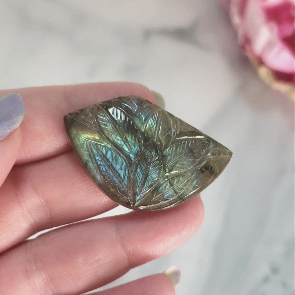 Unique 50 Carat Labradorite Cabochon Natural Gemstone Carving - Succulent - Video