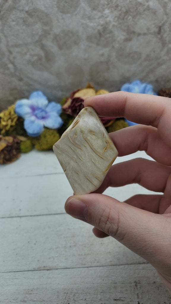 Unique Palm Wood Fossil Natural Crystal Slab - FELIX VIDEO