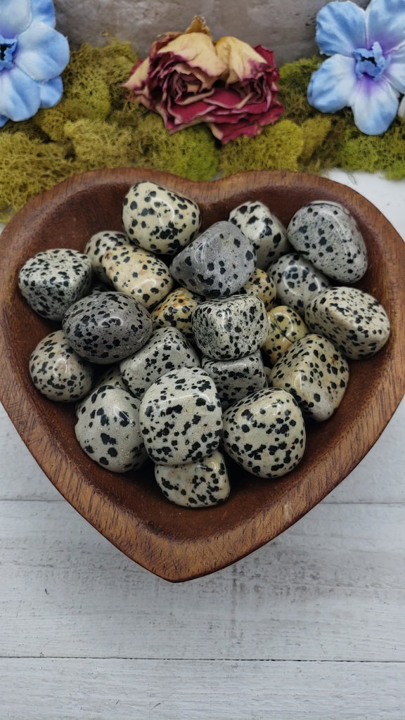 Dalmatian Jasper Crystal Natural Gemstone Tumbled Stone - 3