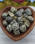 Dalmatian Jasper Crystal Natural Gemstone Tumbled Stone - 3