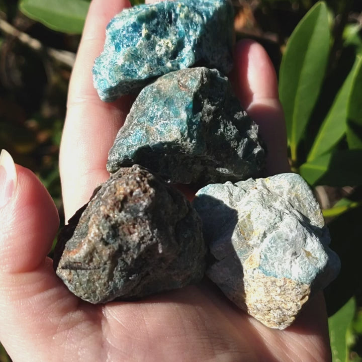 Blue Apatite Natural Raw Crystal Rough Gemstone - Medium - Video