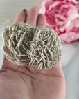 Unique Desert Rose Selenite Crystal Cluster Heat Treated Rough Mineral Formation | Sprig - 4