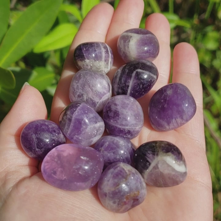 Indian Amethyst Natural Tumbled Crystal - One Stone - Video