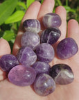 Indian Amethyst Natural Tumbled Crystal - One Stone - Video