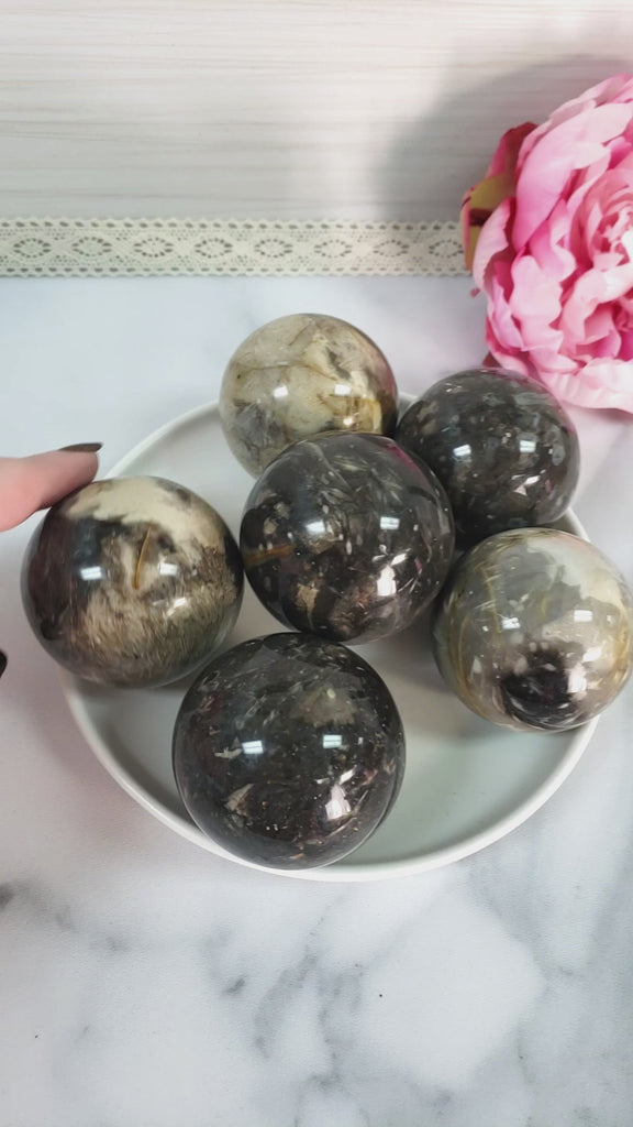 Palm Root Fossil Agatized Petrified Wood Natural Organic Gemstone Crystal Sphere Orb | 50mm - 55mm - 3