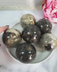 Palm Root Fossil Agatized Petrified Wood Natural Organic Gemstone Crystal Sphere Orb | 50mm - 55mm - 3