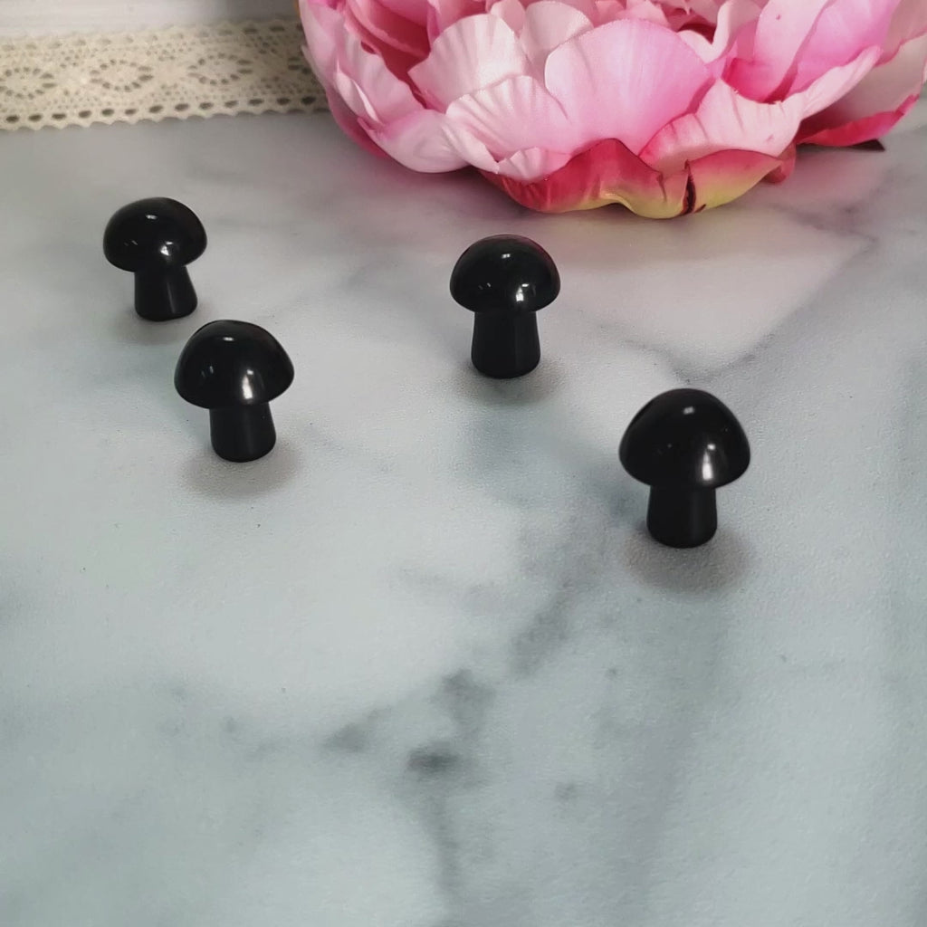 Black Obsidian Natural Gemstone Mushroom Toadstool Mini Carving - Video
