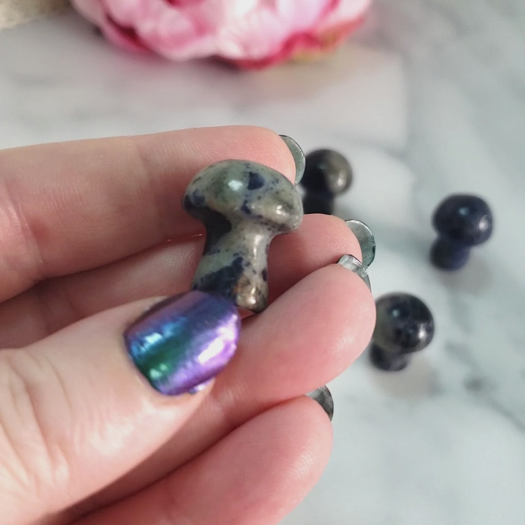 Sodalite Crystal Natural Gemstone Mushroom Toadstool Mini Carving - Video