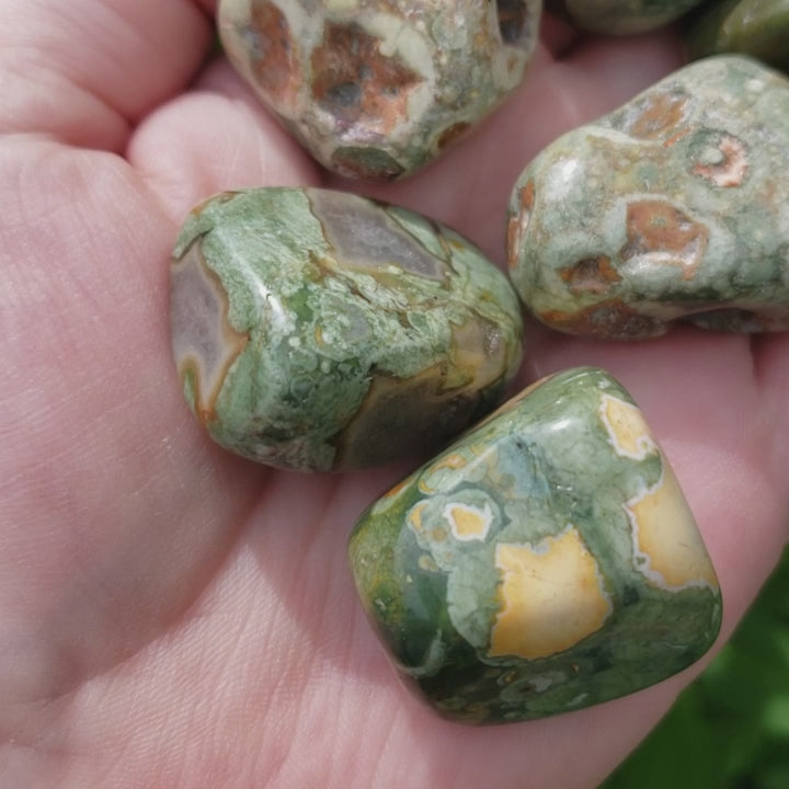 Green Rainforest Rhyolite Natural Tumbled Stone - One Stone - Video